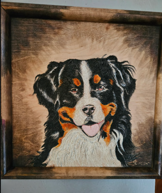Swiss Mountain Dog