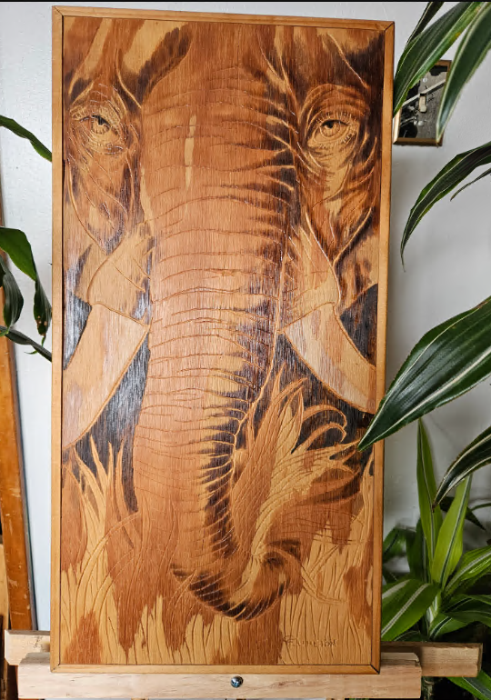 African Elephant