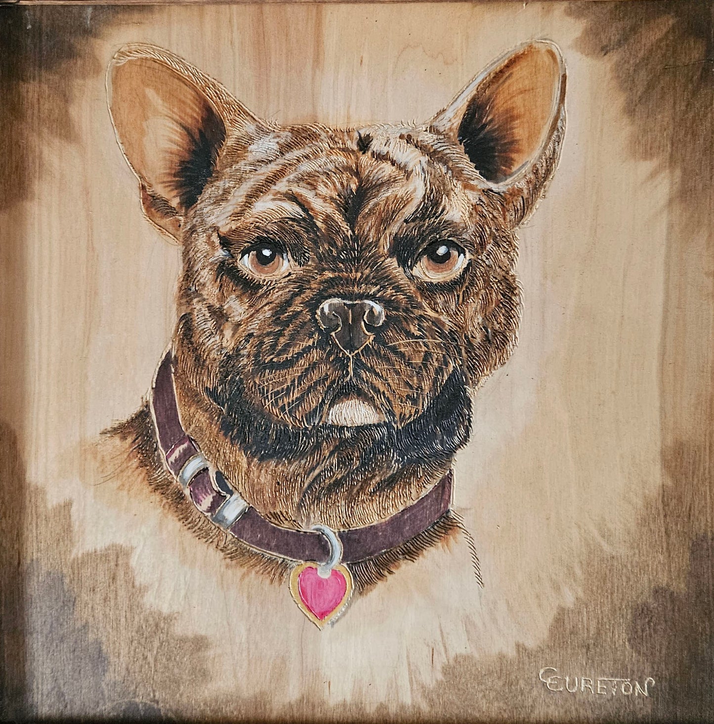 16"X16" Mr. Bentley