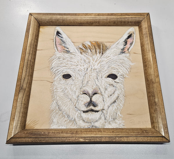 Shadow Box Custom Framing