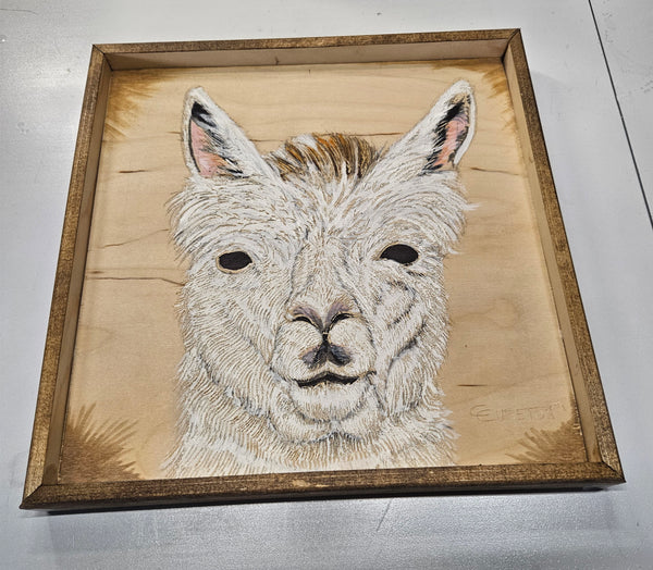 Shadow Box Custom Framing